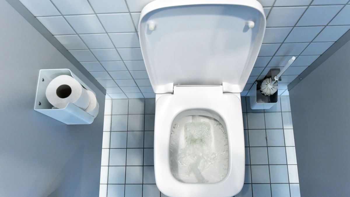 Toiletten-Hygiene: Wie weit Klowasser spritzt – und was das für Zahnbürsten heißt