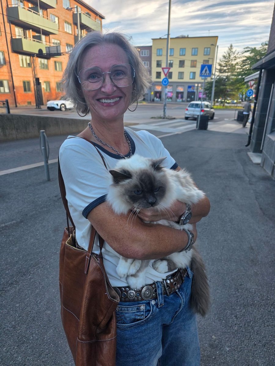 Fant sin egen katt til salgs på Finn