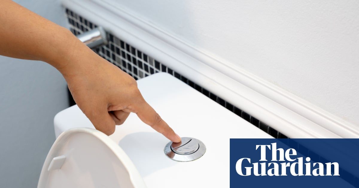 Flushing the toilet can release a ‘plume’ of breathable pathogens – and closing the lid won’t stop their escape
