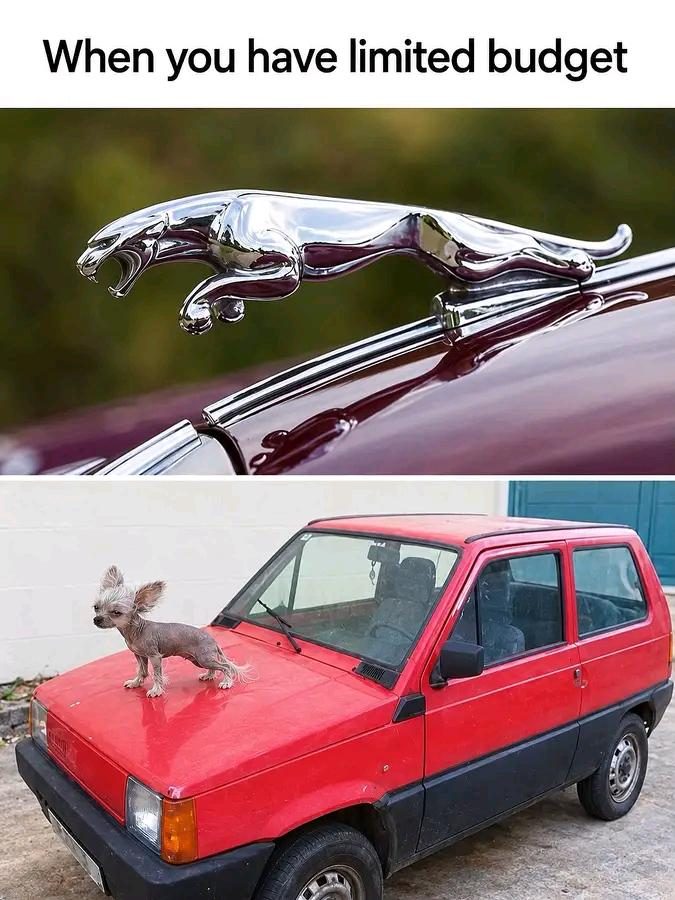 Sometimes its best to stay withing your budget