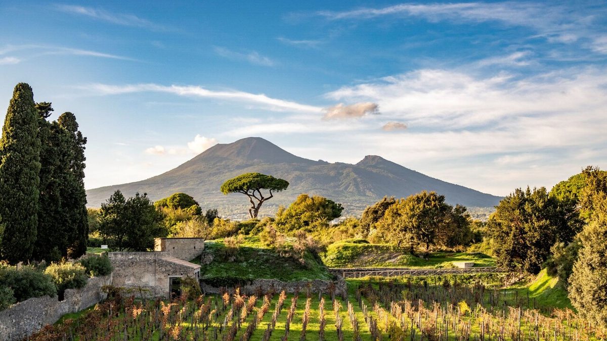 A Pompei torna la vendemmia, al via al festa del vino