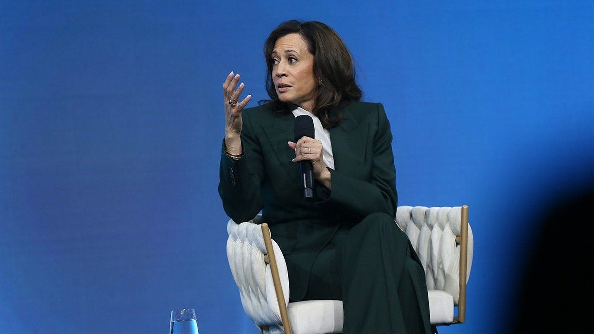 Kamala Harris claims GOP 'cheating' ahead of midterms, says she's focused on stopping the 'madness'