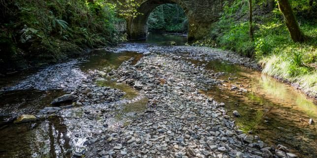 Le manque d’eau se fait toujours sévèrement sentir en France malgré quelques pluies