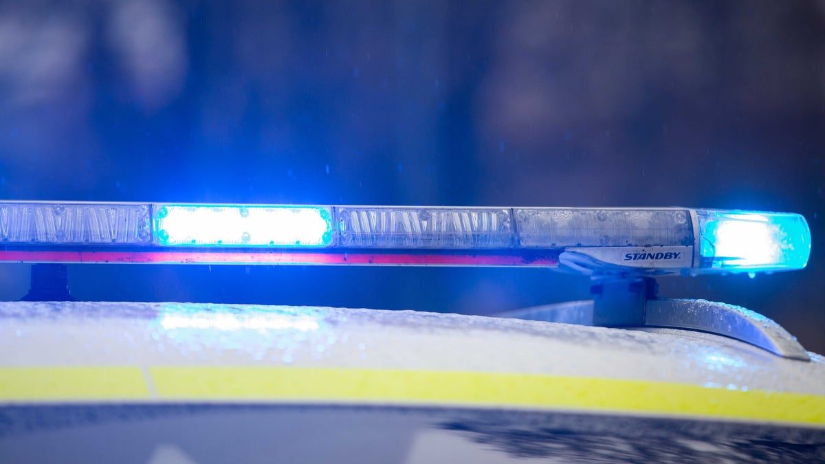Misstänkt serievandal gripen