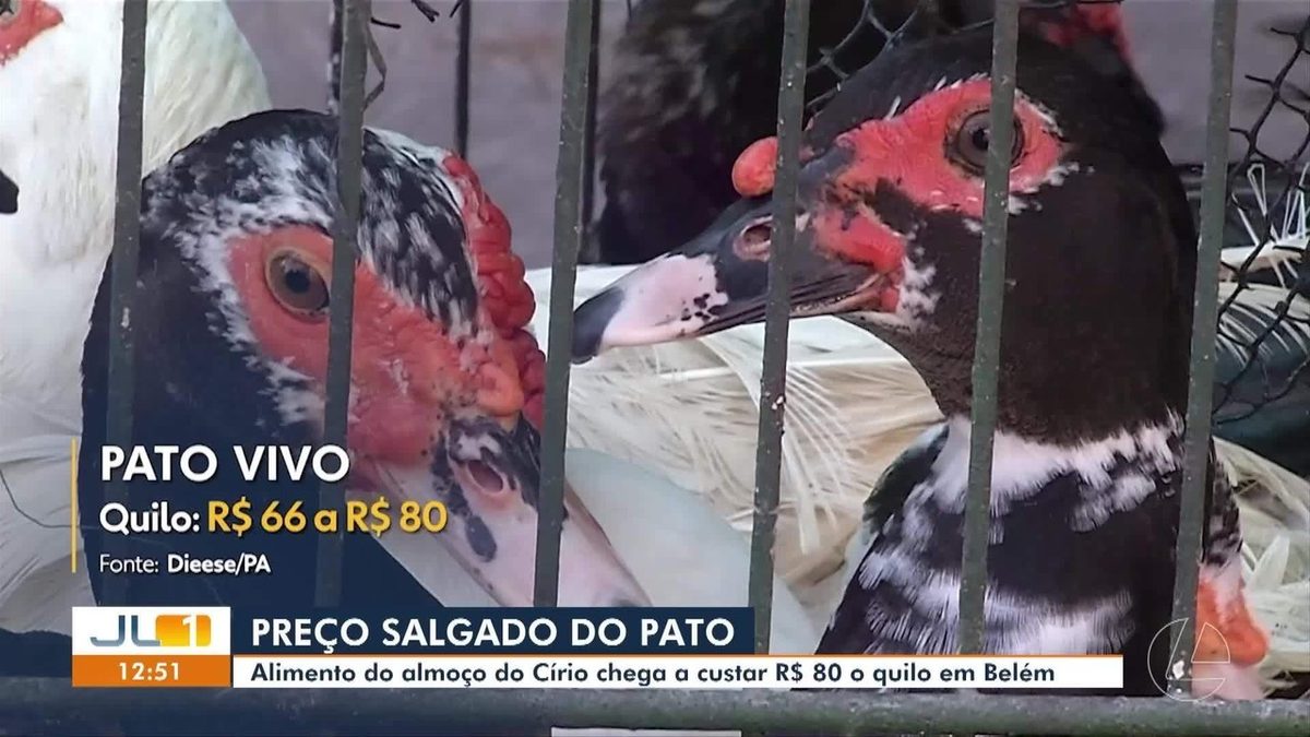 Pato mais caro: a um mês do Círio, preço chega a R$ 80 o quilo em Belém