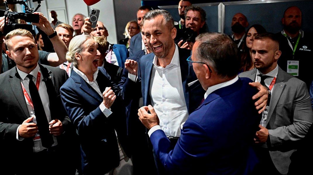 Derfor giver de tyske nationalisters gennembrud genlyd i resten af Europa