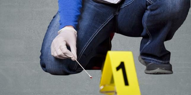 Près de Toulouse, le corps calciné d’une femme a été découvert ; enquête ouverte pour assassinat sur conjoint