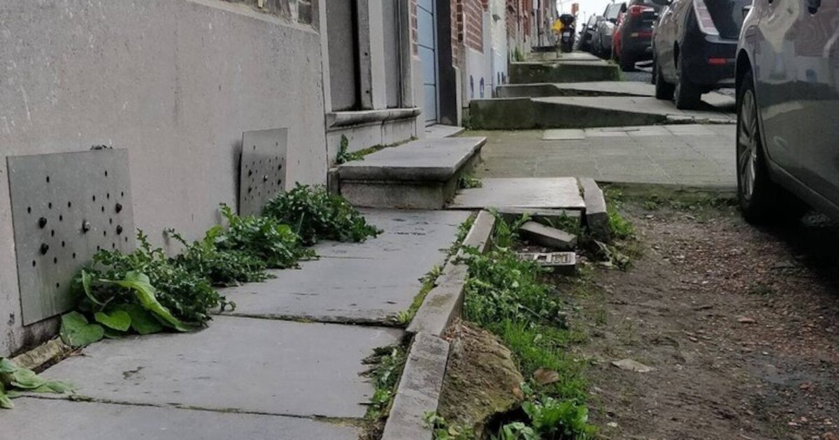 Trottoir pas entretenu? Vous risquez 150€ d'amende! Charleroi veut forcer les "régularisations volontaires"
