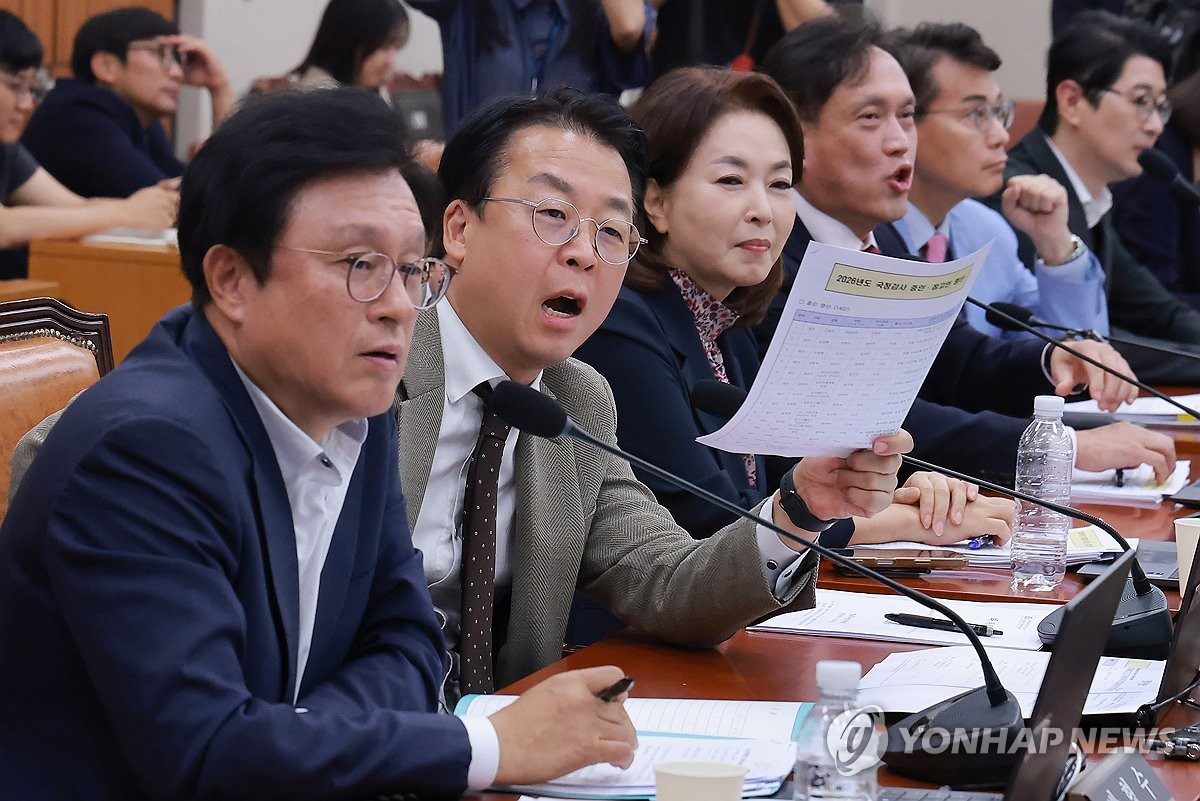 국감 증인 곳곳 충돌…野 김현지·김용범 요구에 與 '방어막'