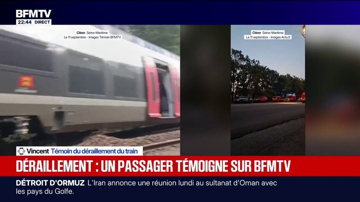 Déraillement d'un train en Seine-Maritime: "On a vu passer le wagon devant nous par la fenêtre", raconte Vincent, témoi…