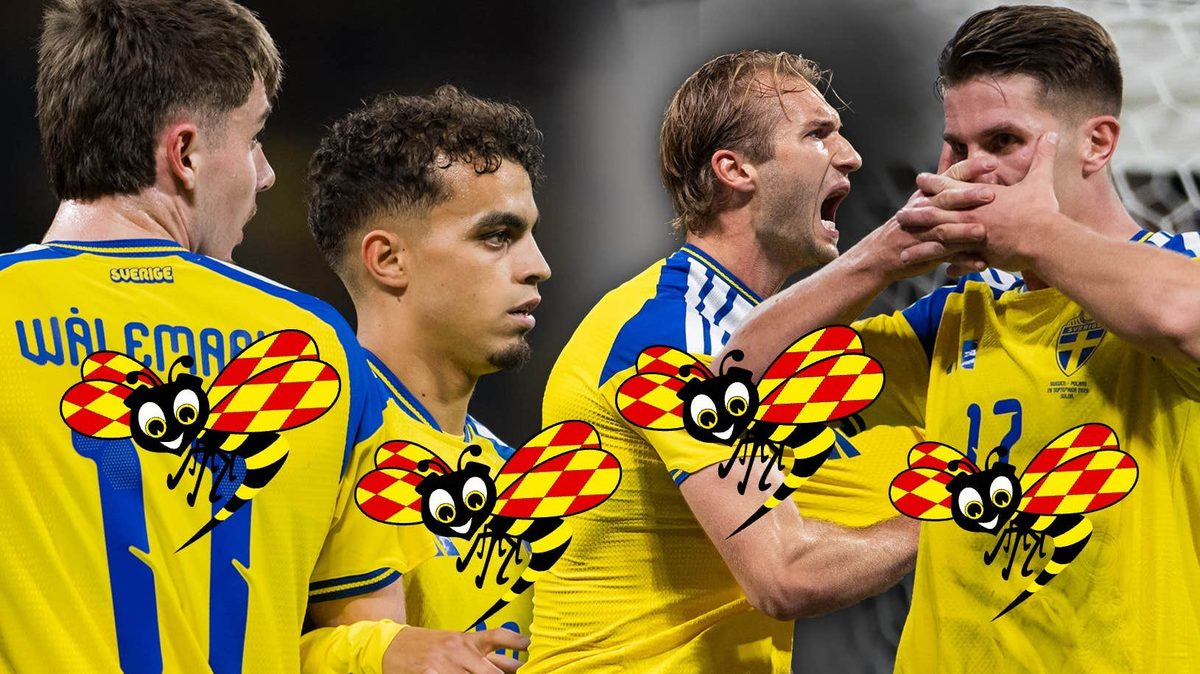 Getingbetyg: De var bäst i Sverige mot Polen