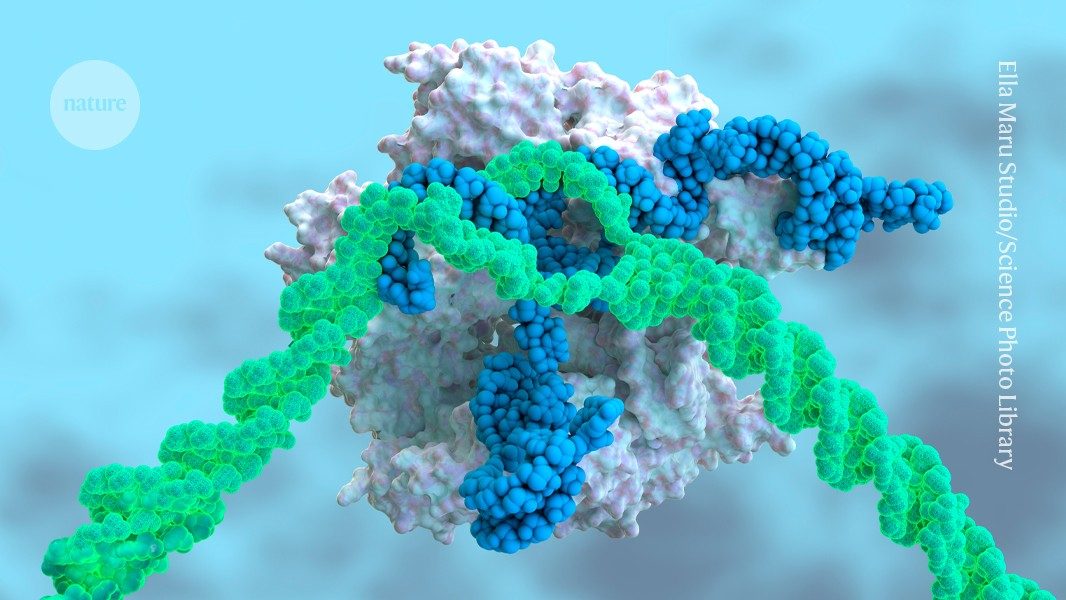 Bigger than CRISPR? A guide to the latest genome editors
