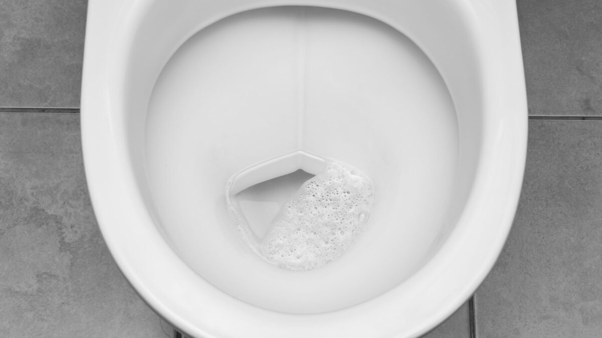Your Toilet Flush Launches a Microbial Mist—and It Reaches Your Face