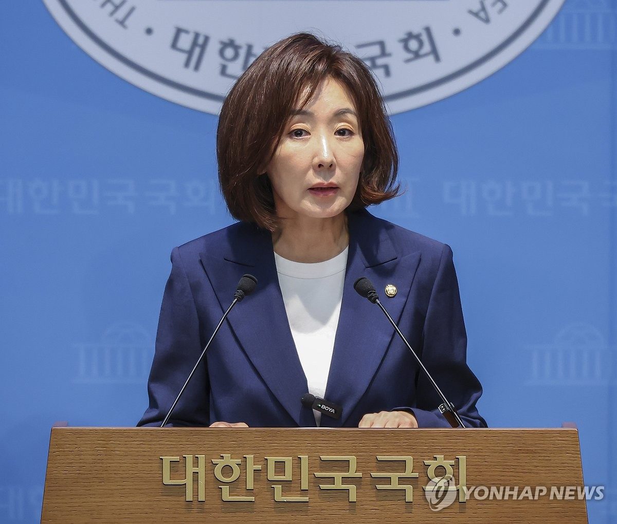 나경원 'DMZ 지뢰참사' 규명 결의안 발의…한동훈·이준석 동참