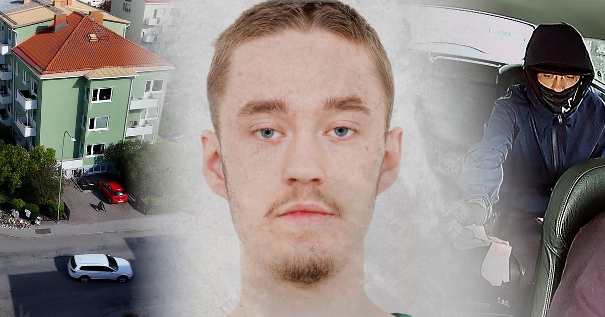 Fredric Gülich Brendling, 22, döms till livstids fängelse för trippelmordet i Uppsala