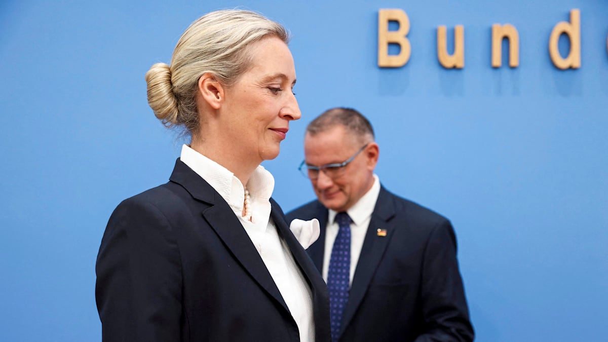 AfD-Vorsprung wächst in Umfrage auf Rekordwert von 10,5 Prozentpunkten an