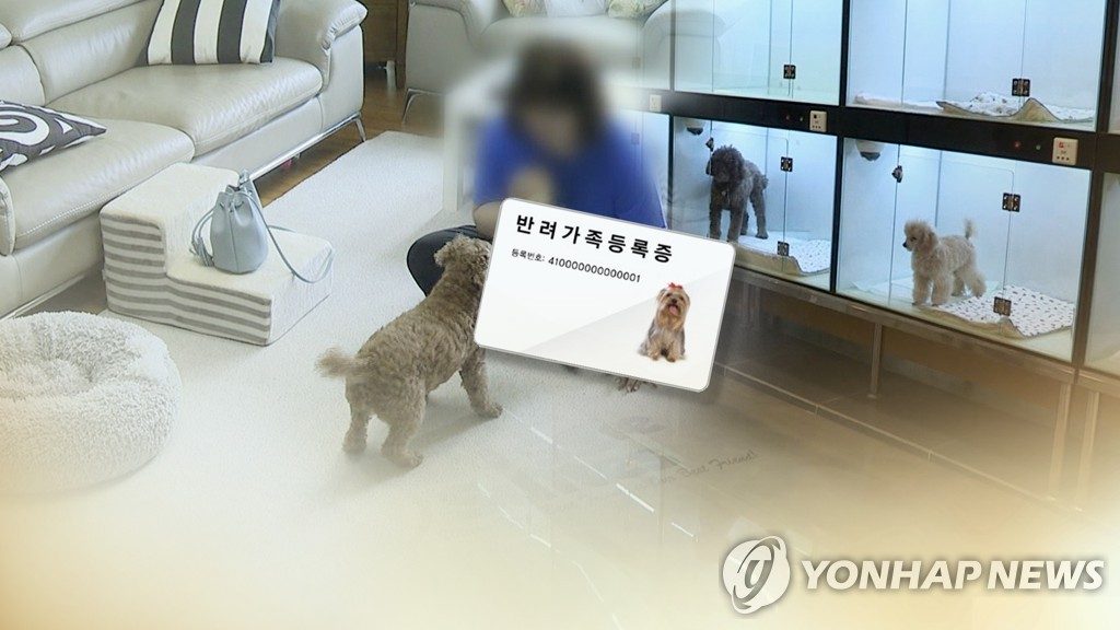 [반려동물] 반려견 맡기고 3년째 연락 두절…위탁동물 유기는 '법 사각지대'