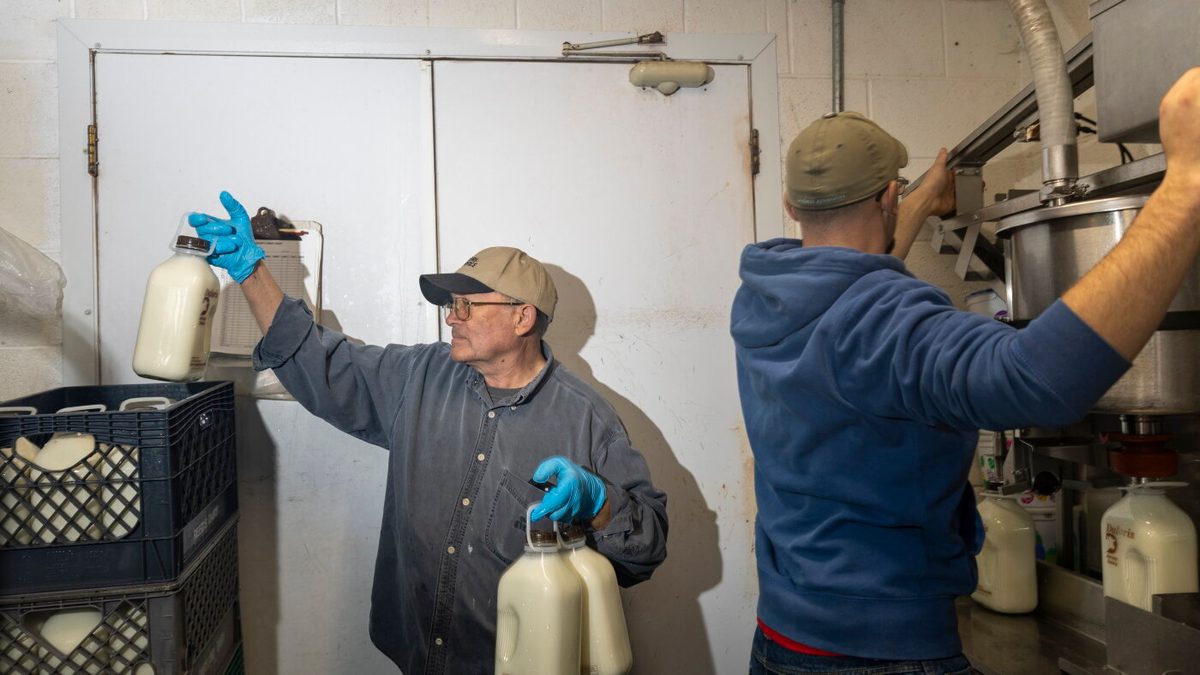 Trump's immigration push has largely spared farms. Idaho dairymen worry it won't last.