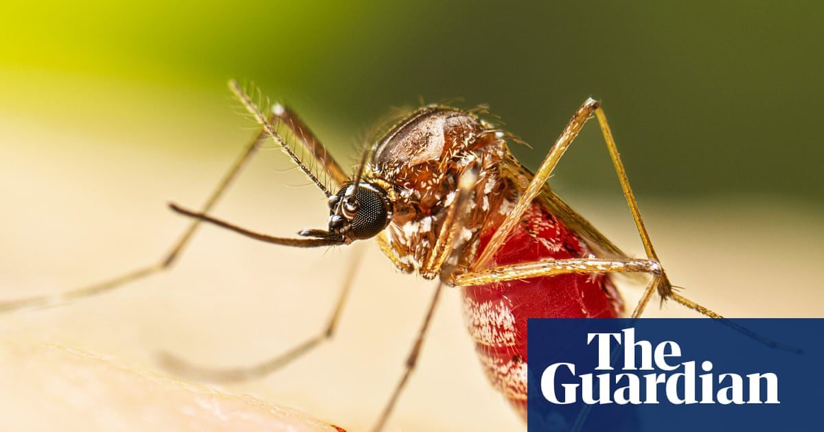 Dengue fever outbreak prompts Florida counties to declare state of emergency