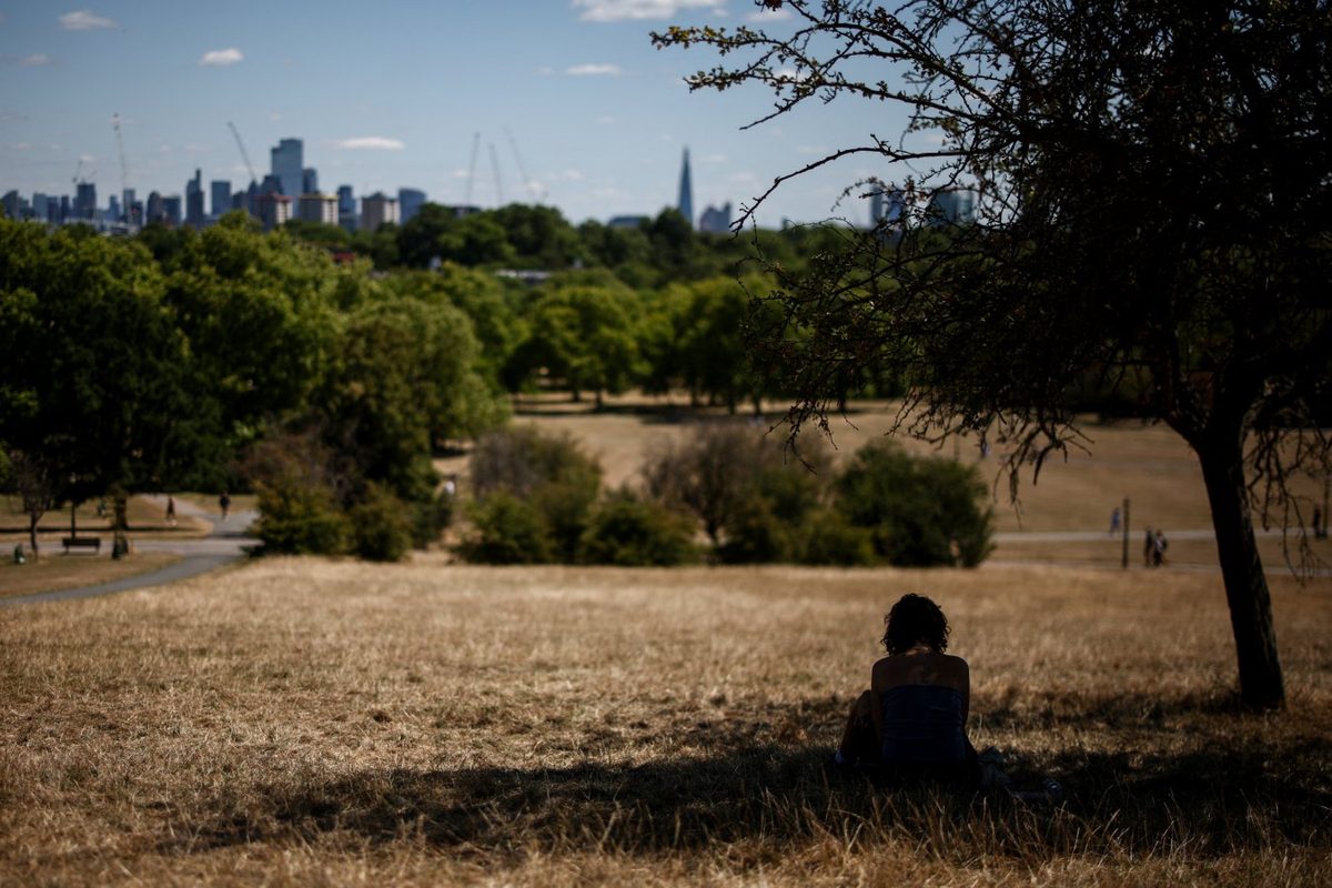 Urban trees in south-east England can’t cope with the changing climate