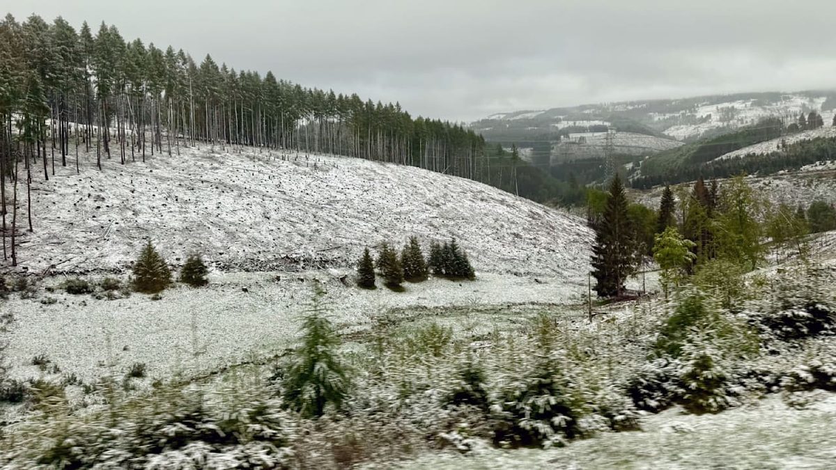 Wetterphänomen erklärt - Wie entsteht eigentlich Schnee?