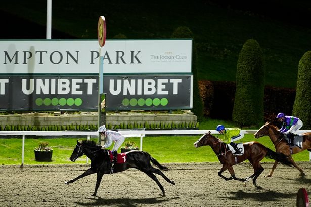 Newsboy's horse racing tips for Wednesday's five meetings including Kempton NAP