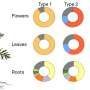 Same plant species, different chemistry: Why chemotype labels matter