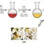 Enantioresolution turns bright but racemic gold-silver clusters into circularly polarized emitters