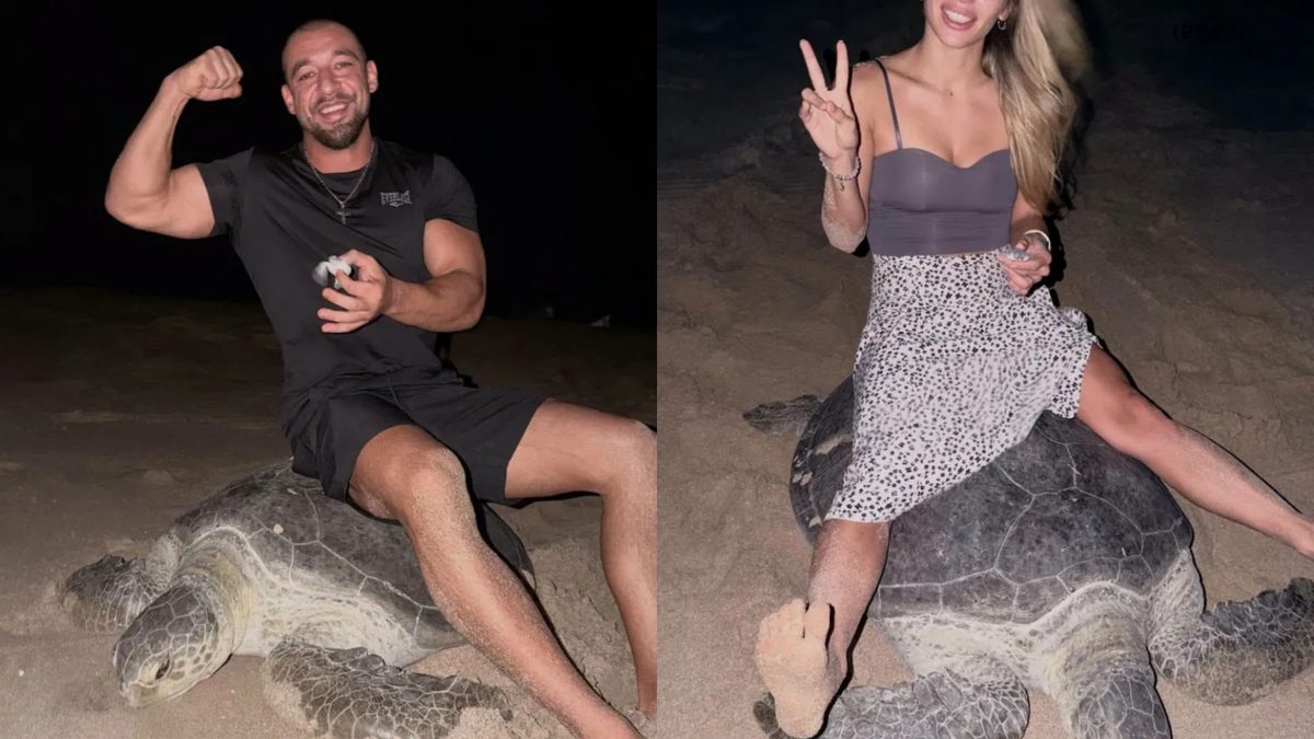 Fitness influencer apologizes for riding protected sea turtle as it laid eggs for content
