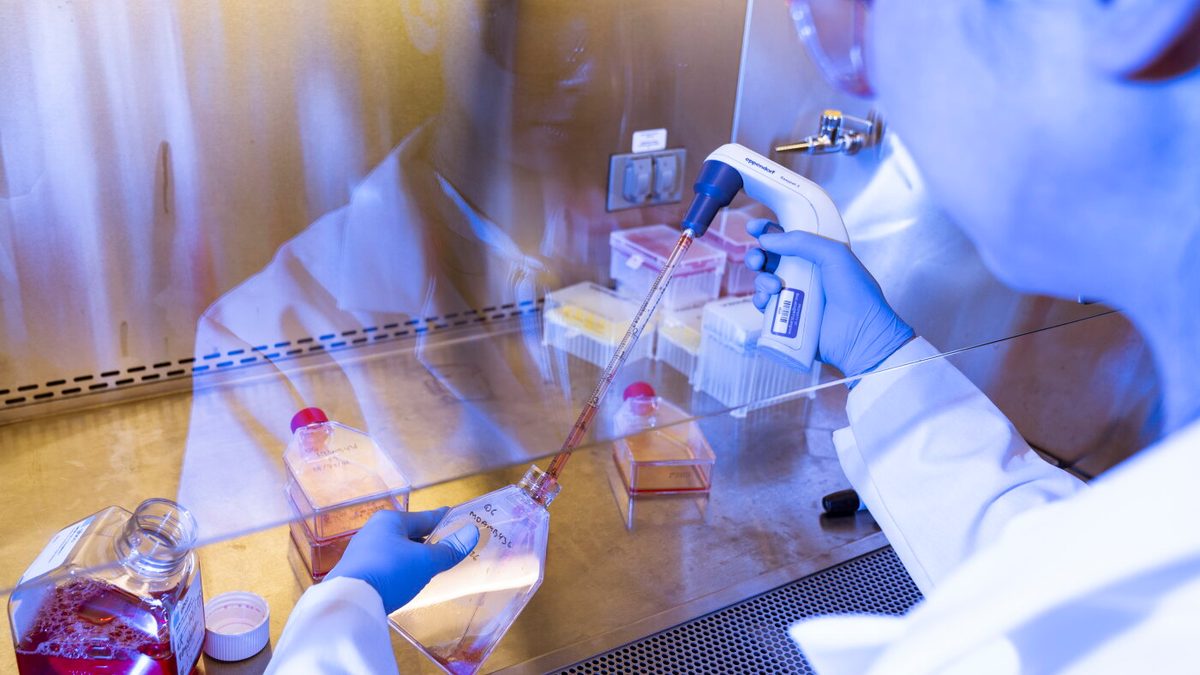 Making gene-edited babies is illegal. This startup says it may be time to reconsider