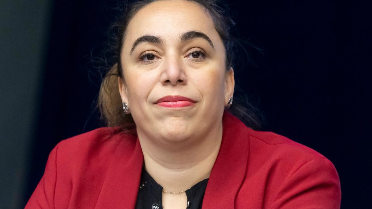 Jordan Bardella accusé d’antisémitisme : avec 12 autres députés, l’écologiste Sabrina Sebaihi saisit la justice