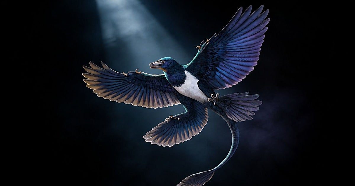 Un nuevo dinosaurio volador reescribe la historia del origen de las aves
