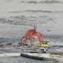 Survey reveals plastic 12,800 feet deep off Ecuador as beach waste rises
