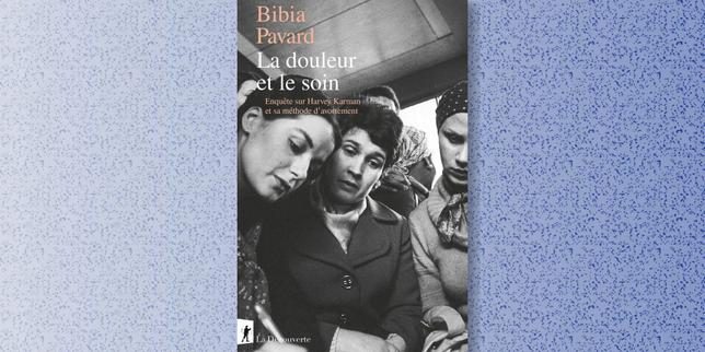 Dans « La Douleur et le Soin », l’histoire mondiale de l’IVG au cœur d’une enquête haletante