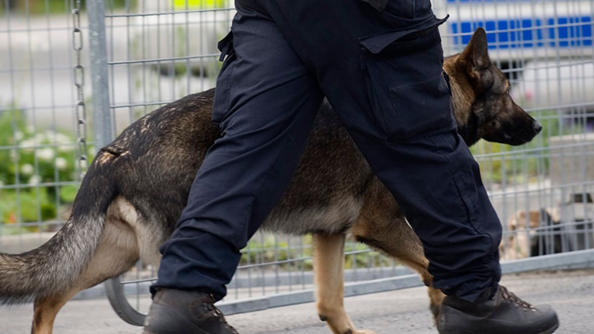 18-åring skulle spränga i Göteborg – lättad när polisen kom