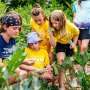 Plant lovers wanted: Study highlights demand for citizen science