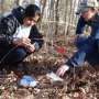 Researchers find a fungus in Kentucky's forest grass that makes rare bug-fighting chemicals