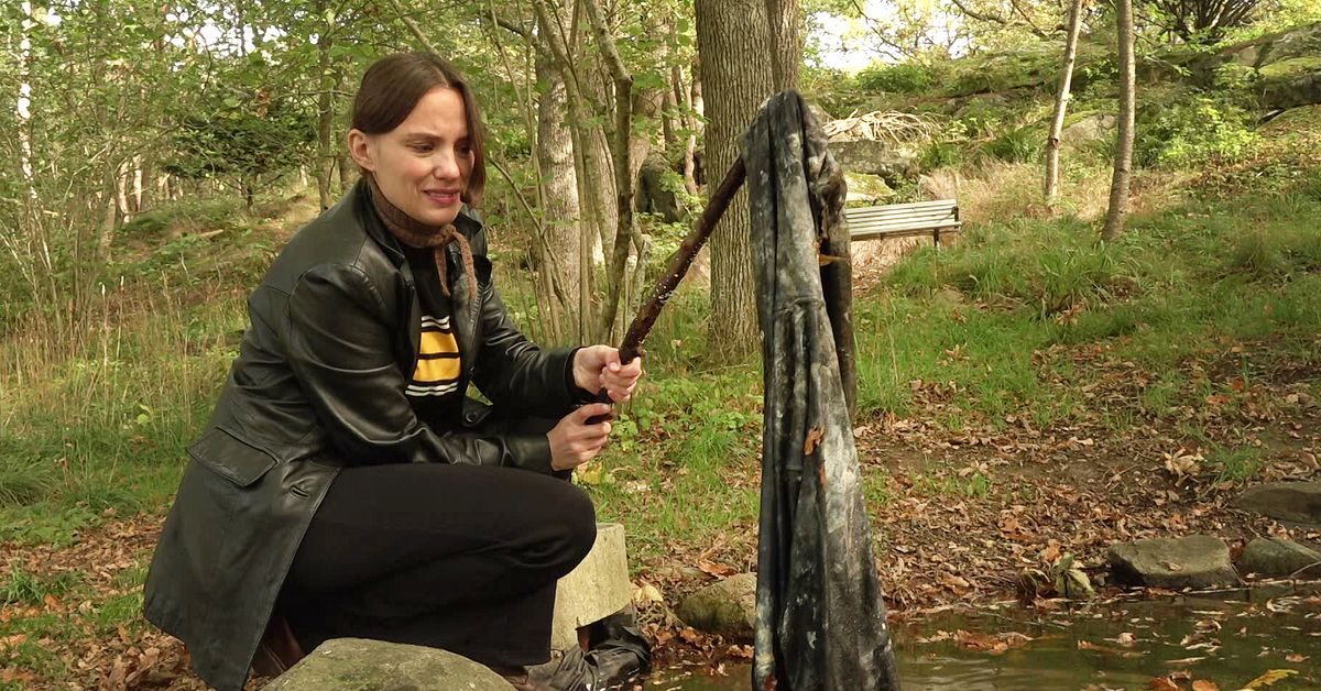 Elever ska elever ha nollats med kattmat och kiss – trots Polhemsgymnasiets stopp