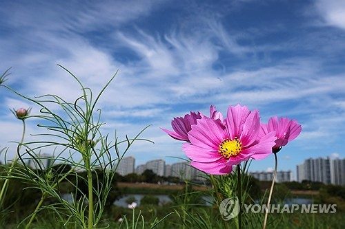 전북 일교차 15도 안팎…낮 기온 26∼29도