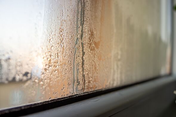 The 25p kitchen cupboard item that stops window condensation instantly