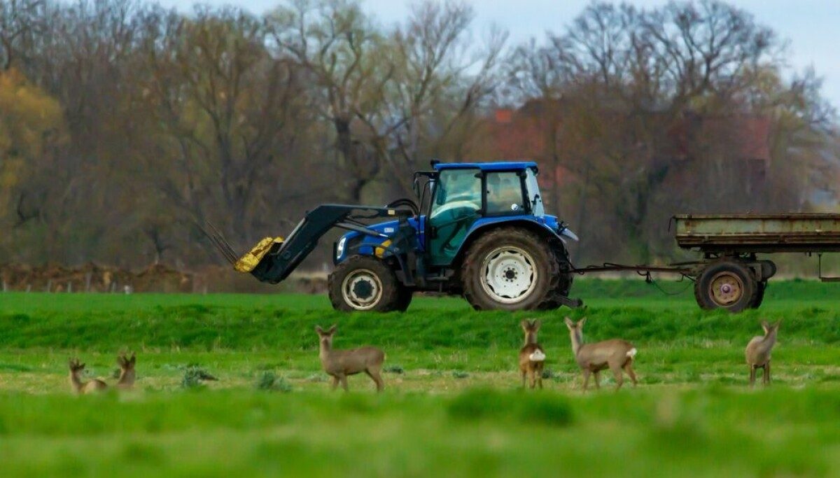 AI more likely to kill animals if it saves fuel or money