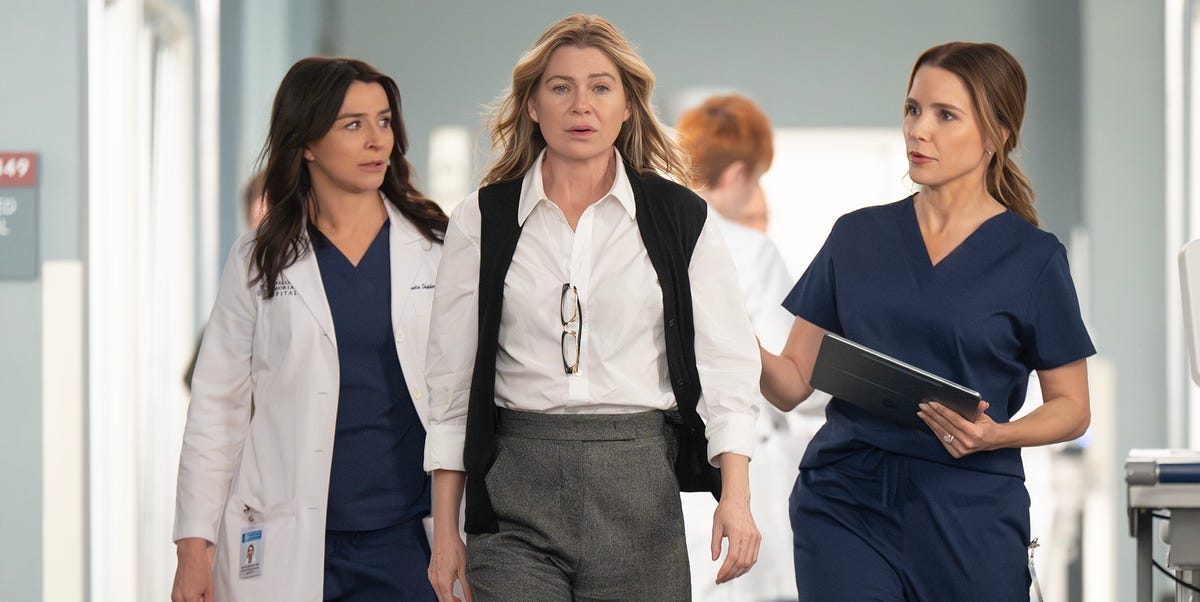 Grey’s Anatomy adds a number of new cast members for season 23 – with character details, revealed