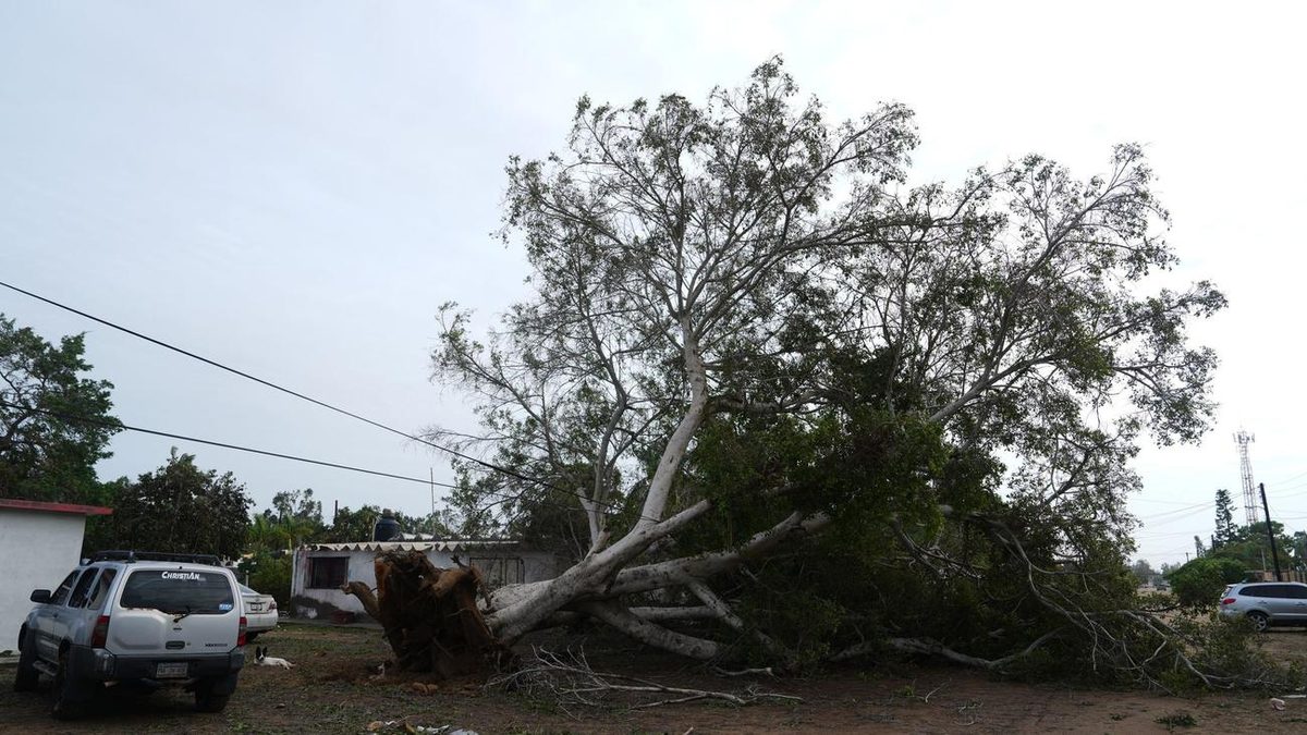 Unwetter: Hurrikan «Polo» trifft in Mexiko auf Land