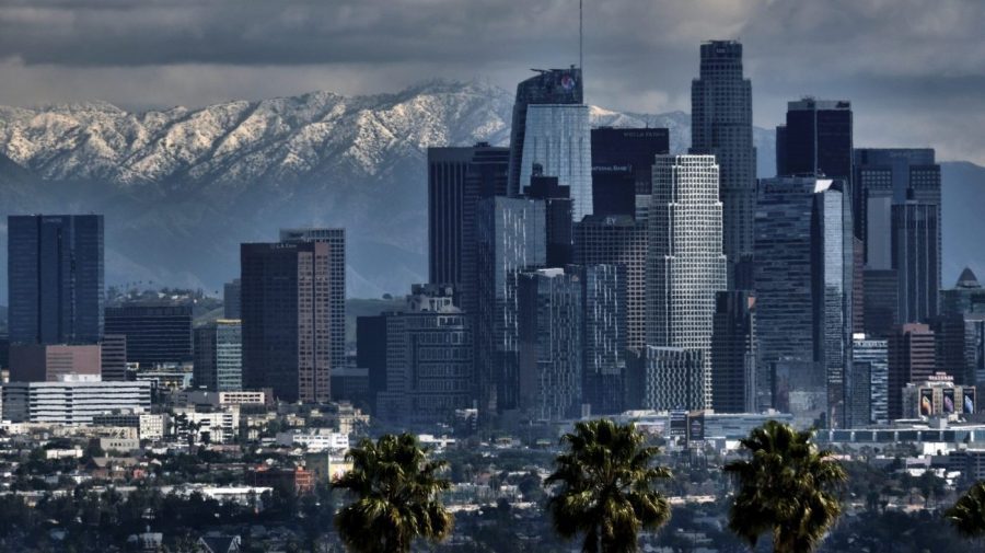 Children's authors sue LA over library's cancellation of Read Palestine Week event