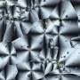 Under the Microscope: NASA-made material for moon manufacturing