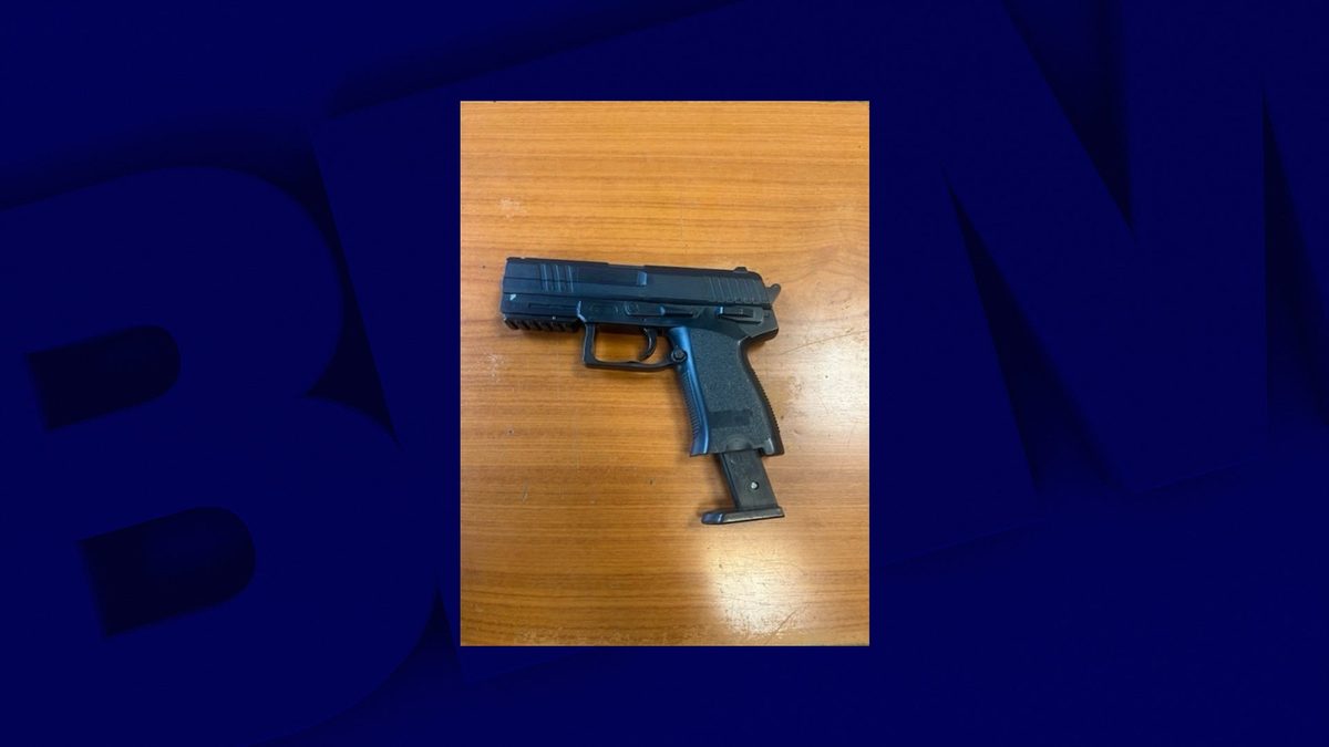 Colère lycéenne: un mineur placé en garde à vue après avoir mis en joue des policiers avec un pistolet à billes dans le…