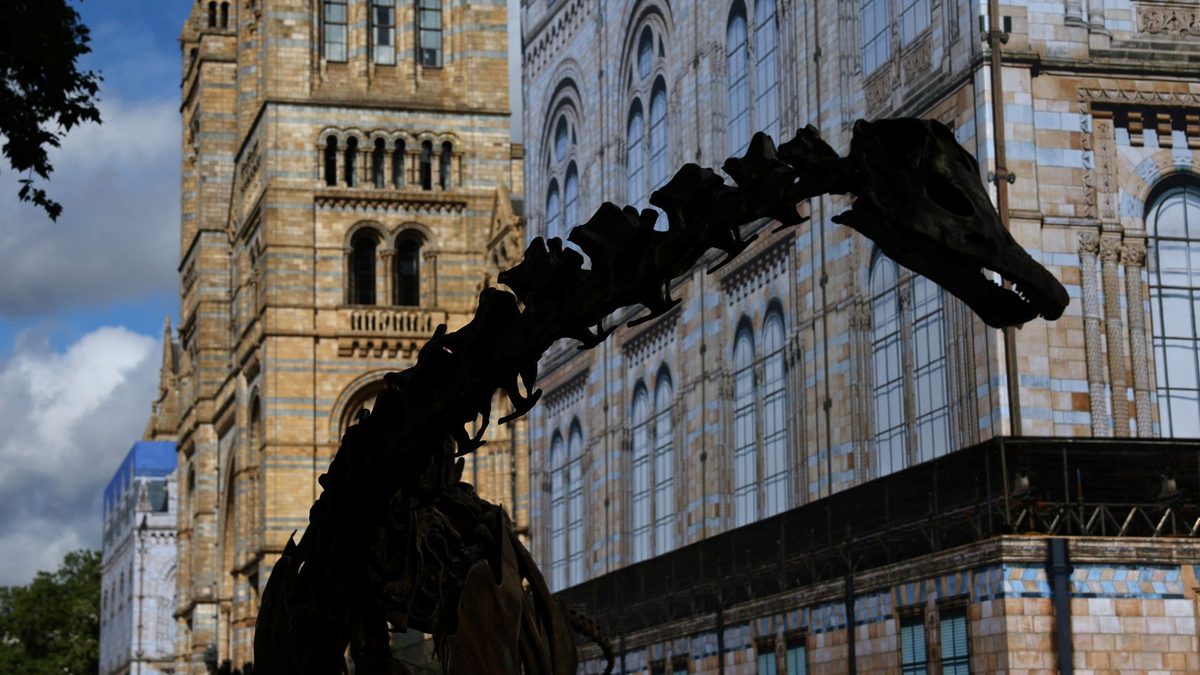 National museums in England to remain free for overseas visitors