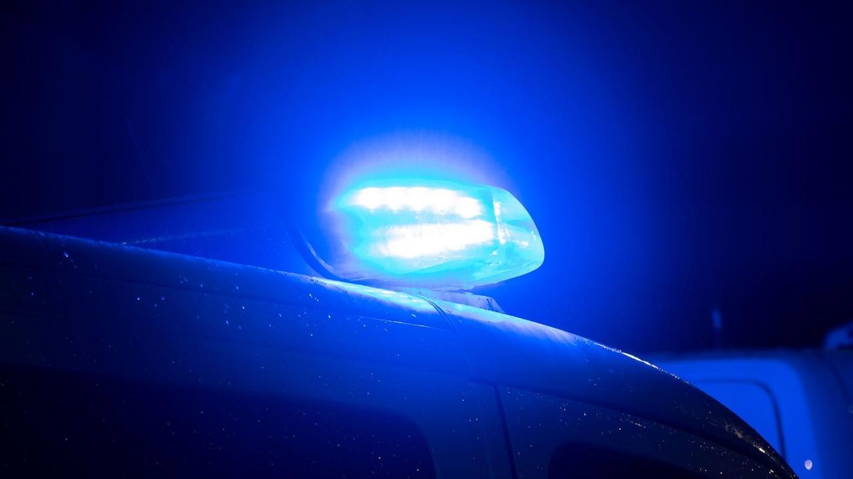 Tödlicher Unfall: Autofahrer prallt mit Wagen frontal gegen Baum und stirbt
