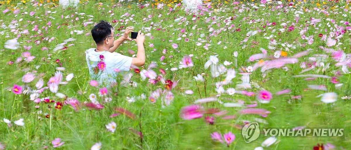 대전·세종·충남 낮 최고 26∼28도…당분간 일교차 커