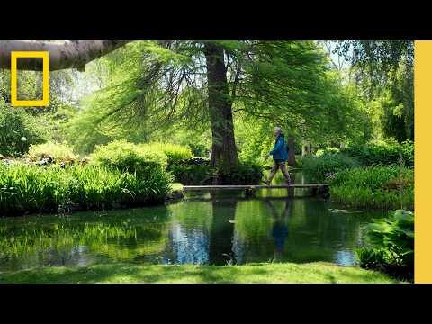 sono al limite in cui la musica e la vita si fondono 📀